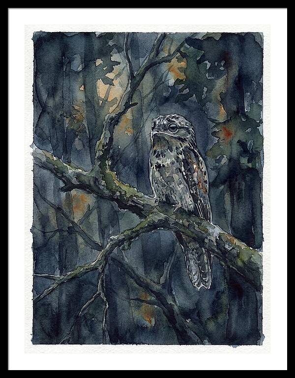 Mysterious Potoo At Dusk