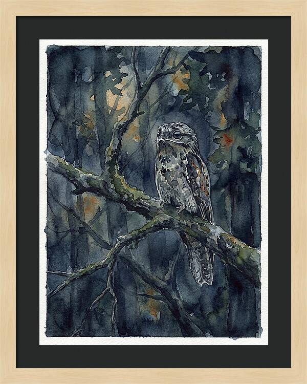 Mysterious Potoo At Dusk