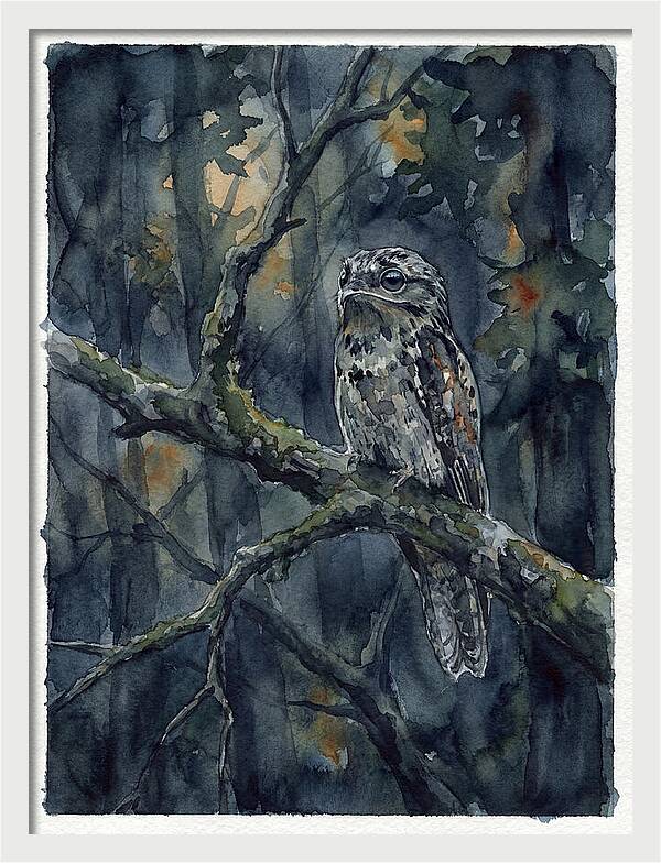 Mysterious Potoo At Dusk