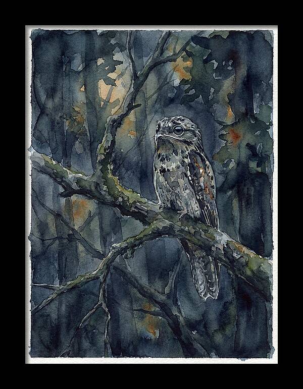 Mysterious Potoo At Dusk