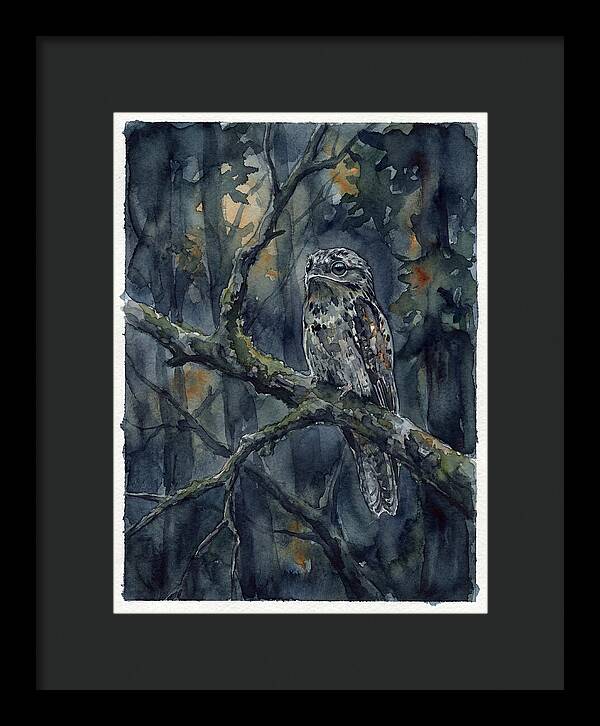 Mysterious Potoo At Dusk