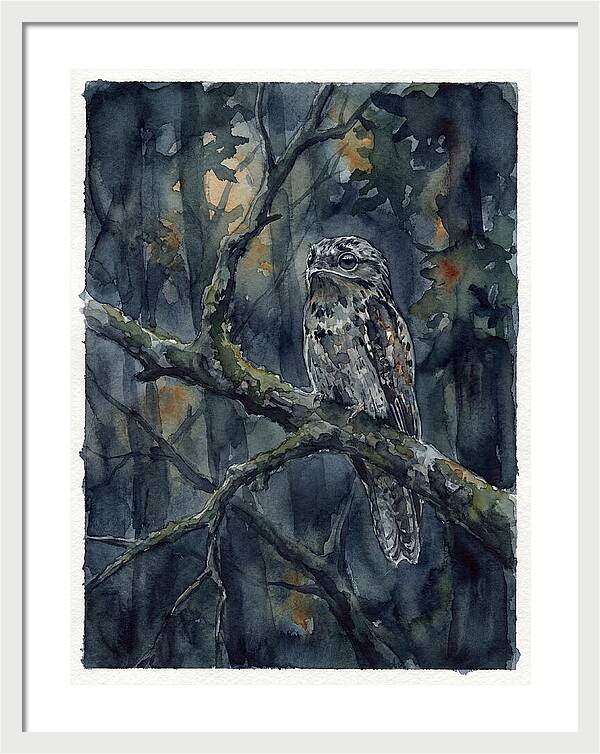 Mysterious Potoo At Dusk