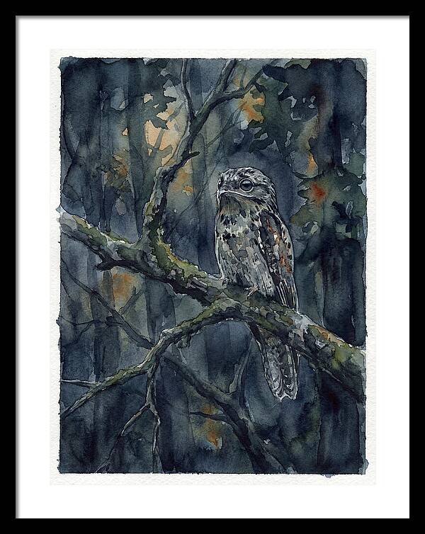 Mysterious Potoo At Dusk
