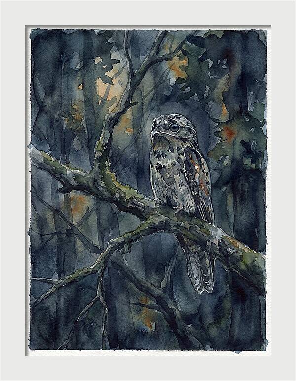 Mysterious Potoo At Dusk