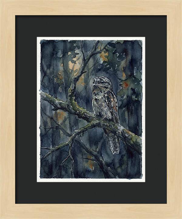 Mysterious Potoo At Dusk