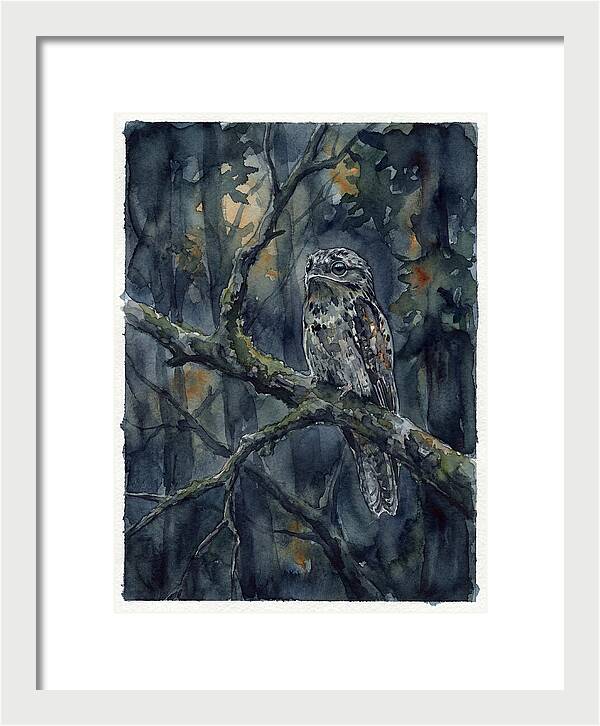 Mysterious Potoo At Dusk