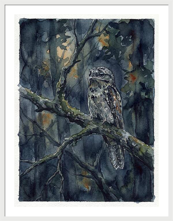 Mysterious Potoo At Dusk
