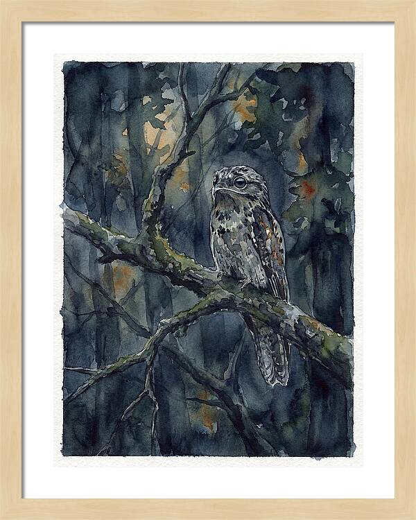 Mysterious Potoo At Dusk