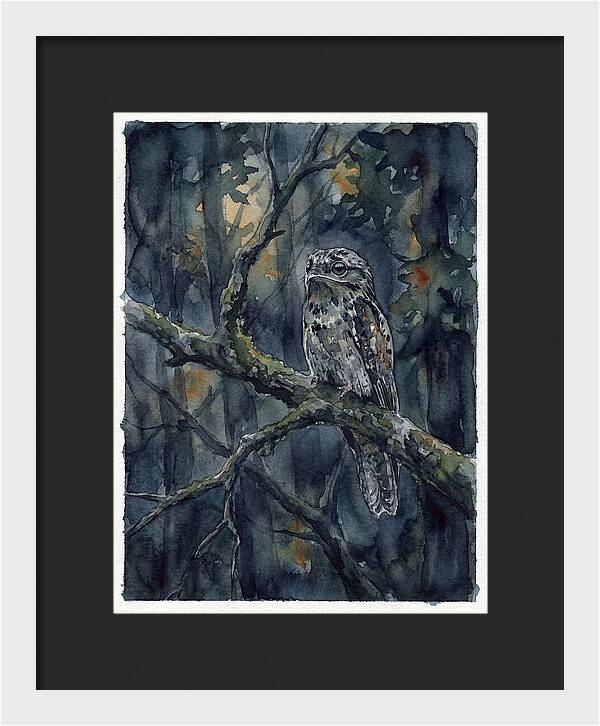 Mysterious Potoo At Dusk
