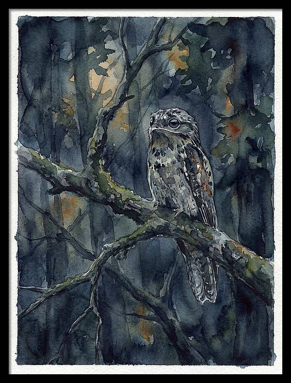 Mysterious Potoo At Dusk