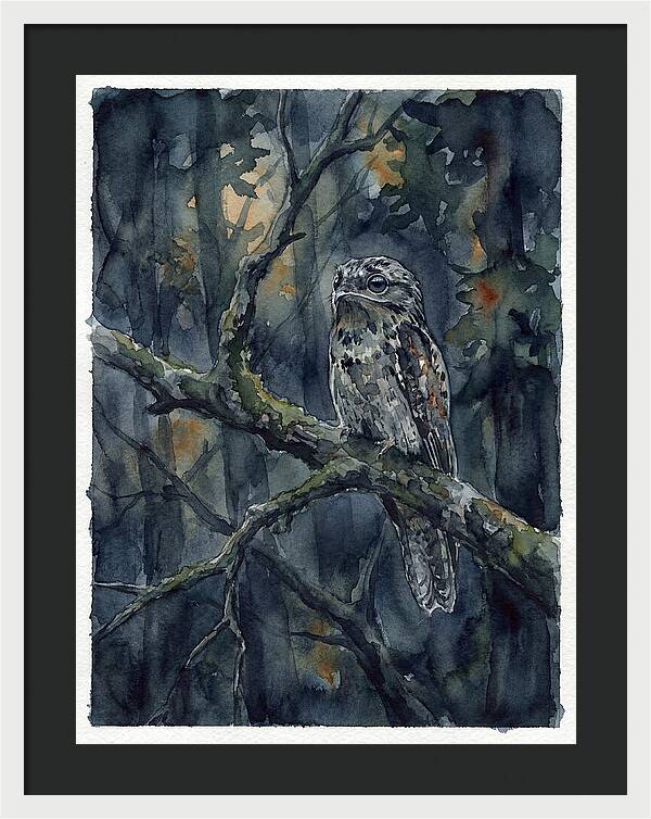 Mysterious Potoo At Dusk