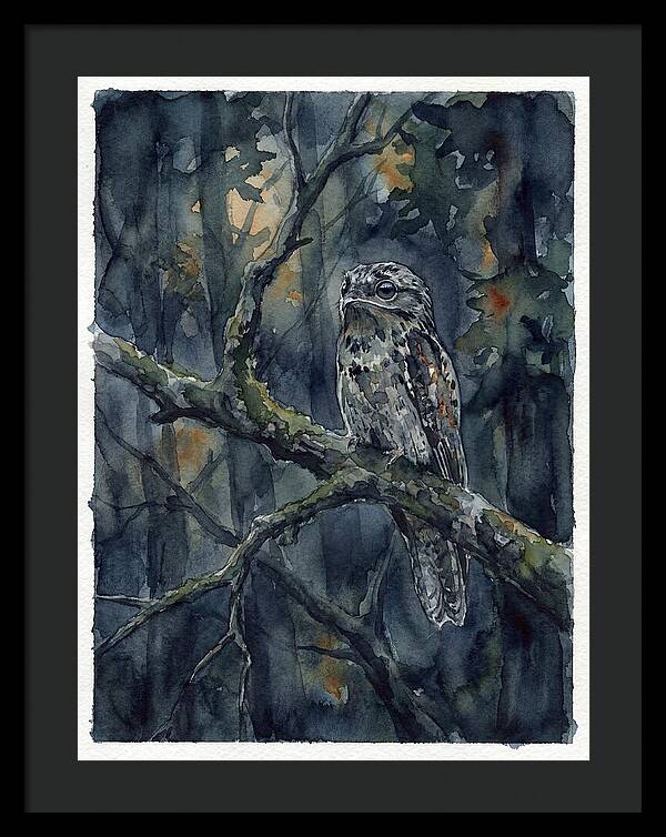 Mysterious Potoo At Dusk