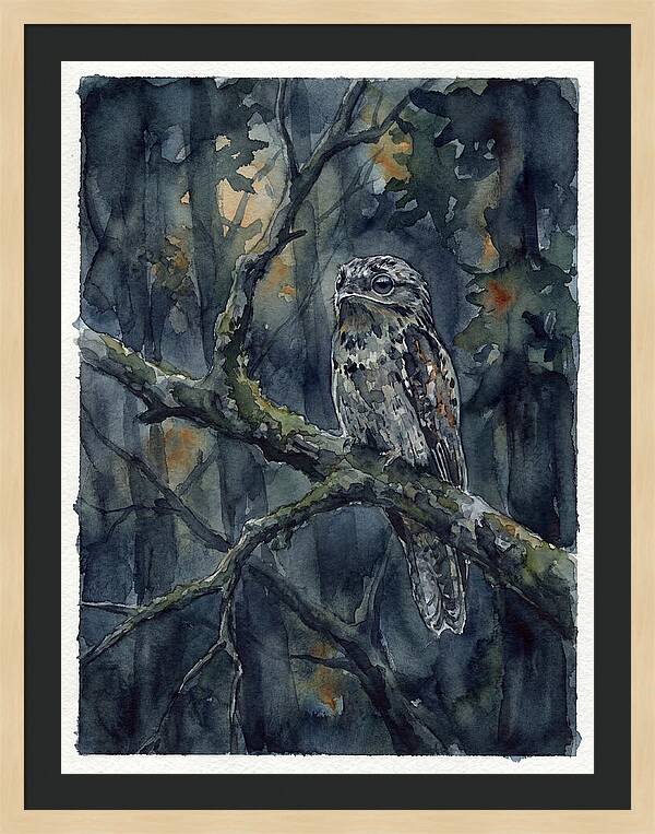 Mysterious Potoo At Dusk