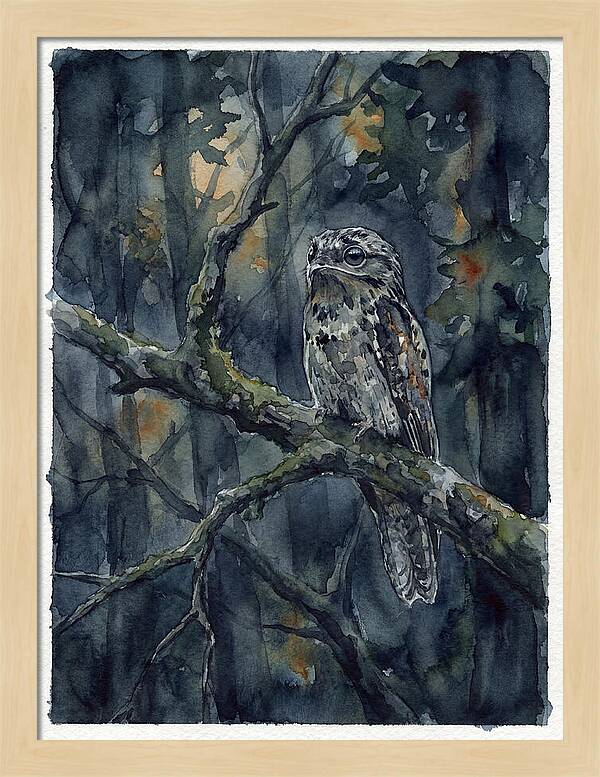 Mysterious Potoo At Dusk