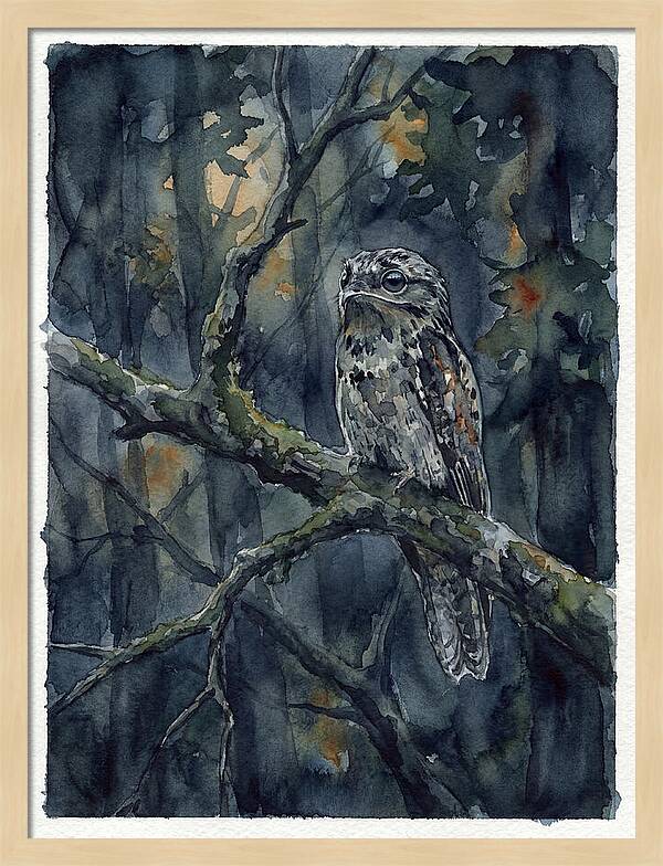 Mysterious Potoo At Dusk
