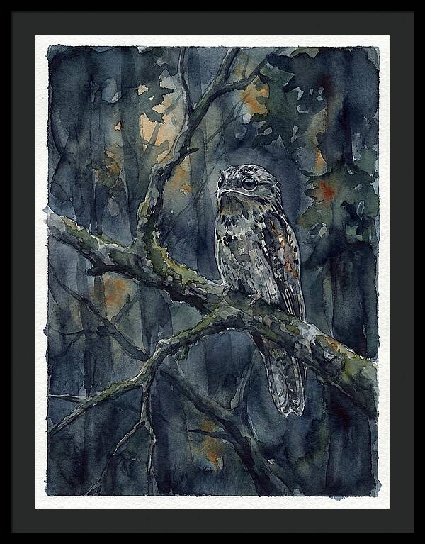 Mysterious Potoo At Dusk