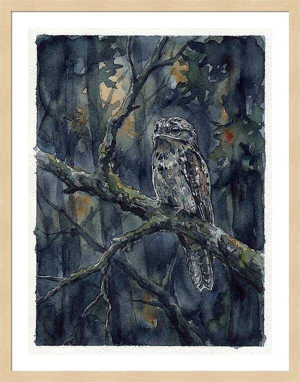 Mysterious Potoo At Dusk