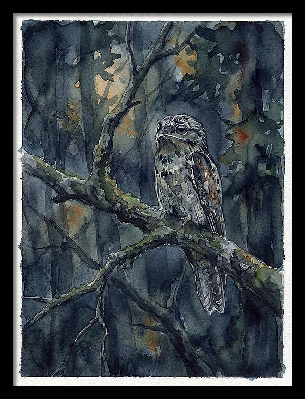 Mysterious Potoo At Dusk