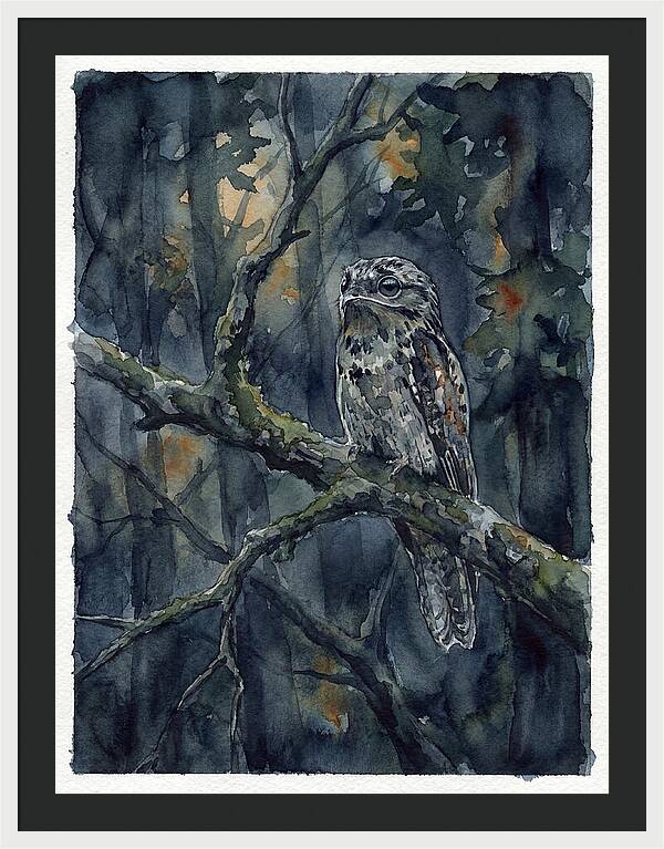 Mysterious Potoo At Dusk