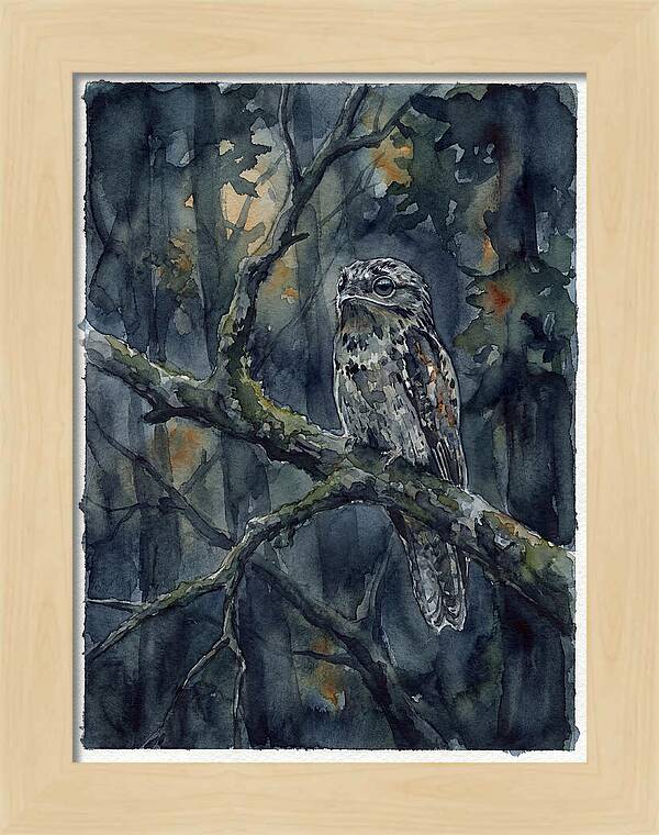 Mysterious Potoo At Dusk