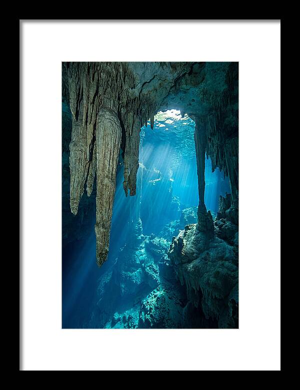 Mystical Cenote Reflections