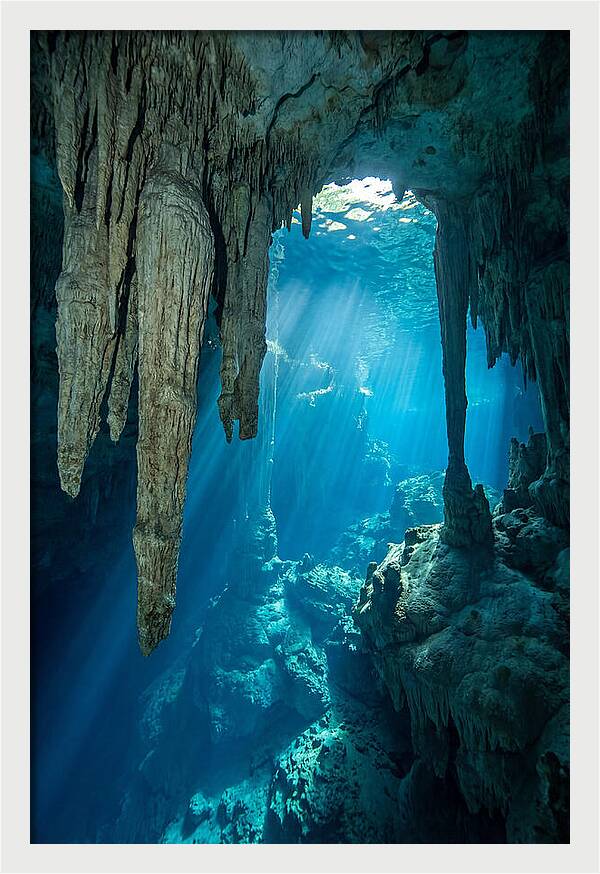 Mystical Cenote Reflections