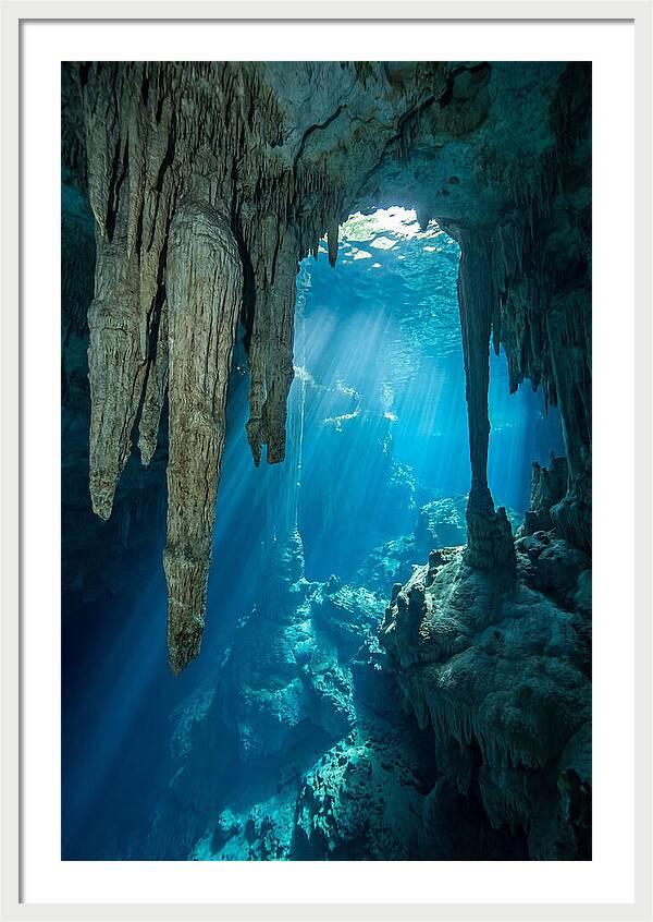 Mystical Cenote Reflections