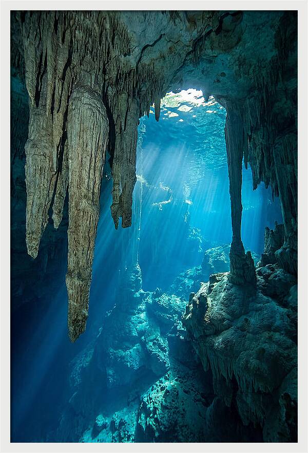 Mystical Cenote Reflections