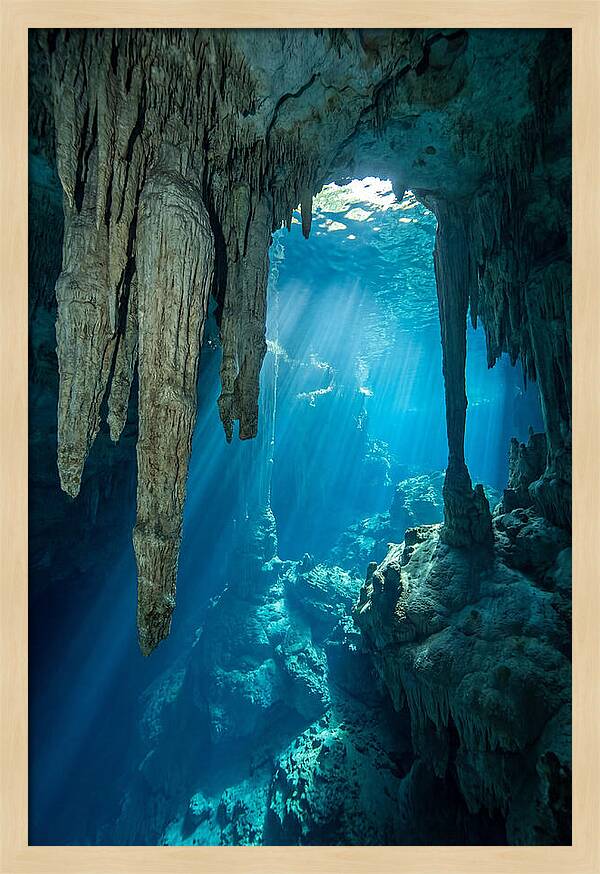 Mystical Cenote Reflections