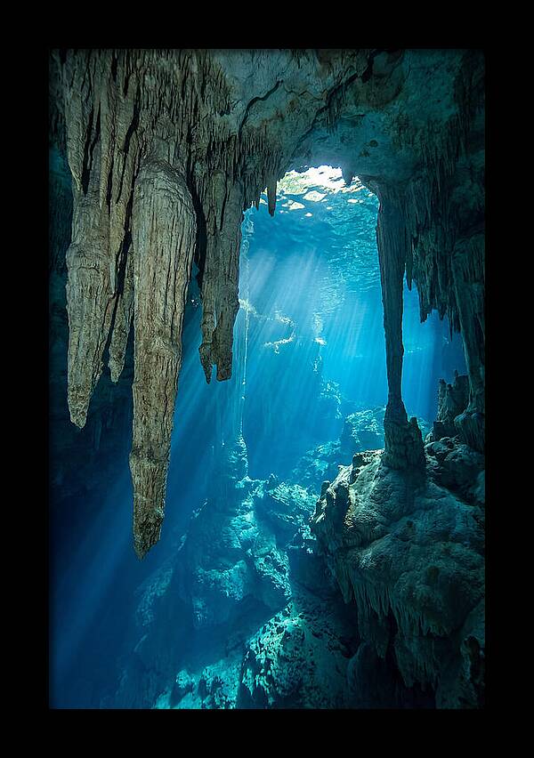 Mystical Cenote Reflections
