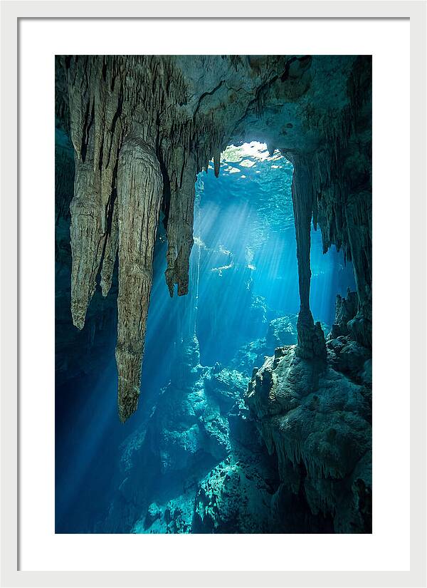 Mystical Cenote Reflections