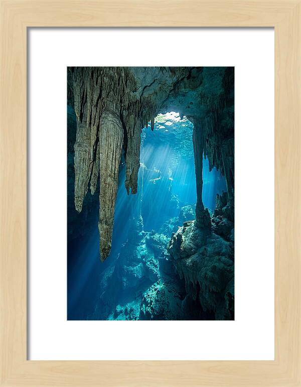 Mystical Cenote Reflections