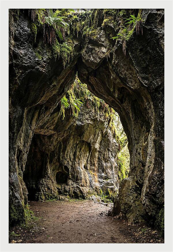 Mystical Entrance To Shoshone Ice Caves