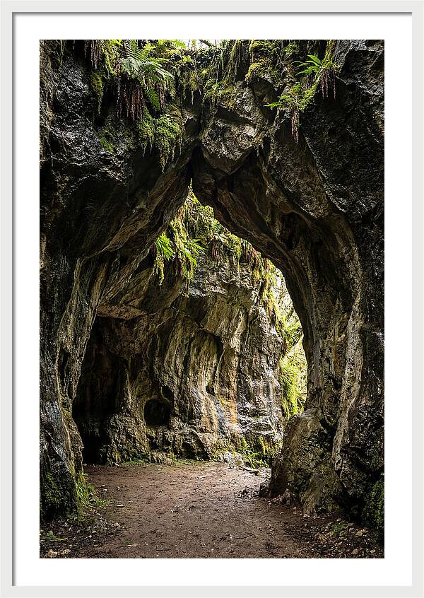 Mystical Entrance To Shoshone Ice Caves