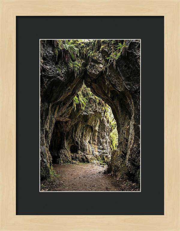 Mystical Entrance To Shoshone Ice Caves