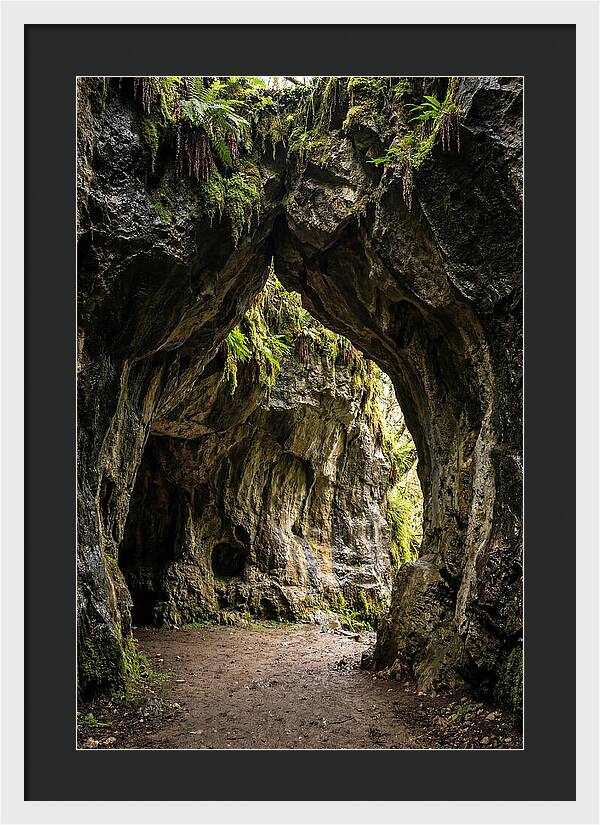 Mystical Entrance To Shoshone Ice Caves