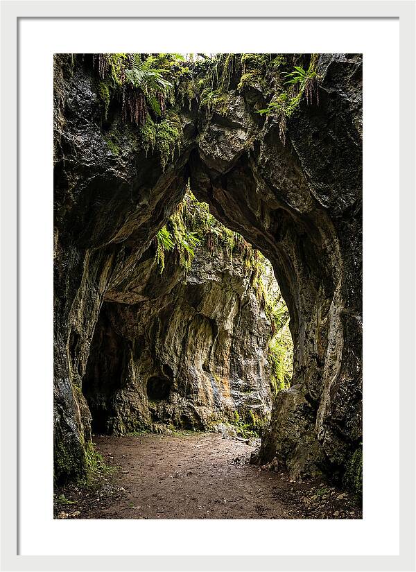 Mystical Entrance To Shoshone Ice Caves