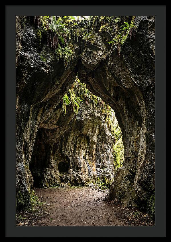 Mystical Entrance To Shoshone Ice Caves