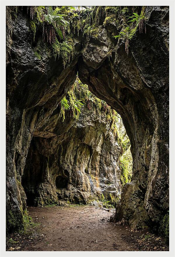 Mystical Entrance To Shoshone Ice Caves