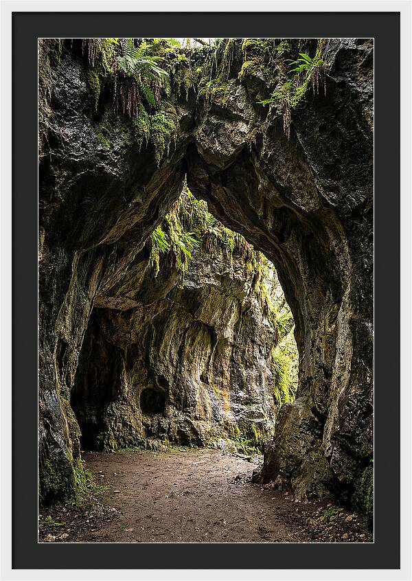 Mystical Entrance To Shoshone Ice Caves