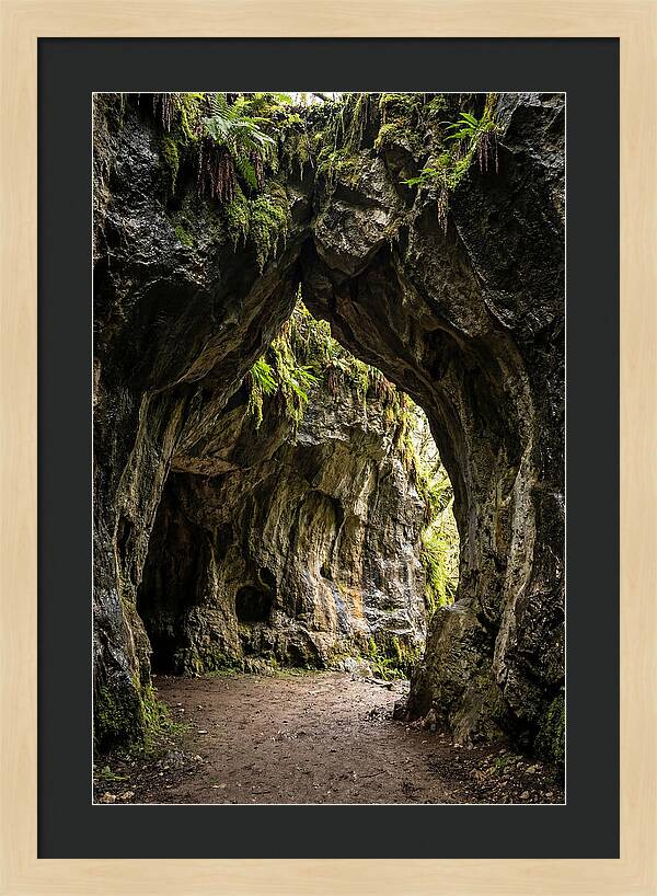 Mystical Entrance To Shoshone Ice Caves