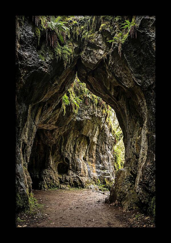 Mystical Entrance To Shoshone Ice Caves