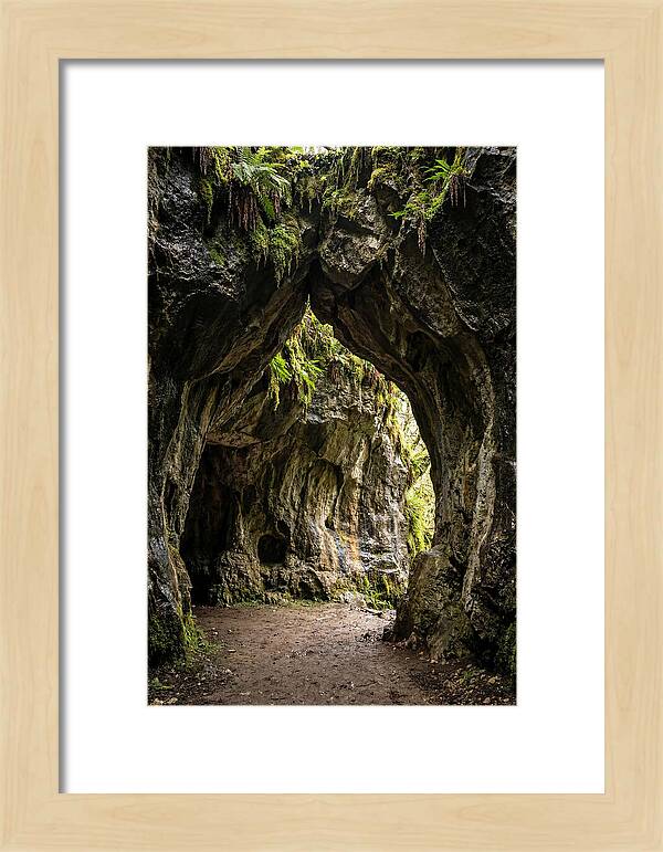 Mystical Entrance To Shoshone Ice Caves