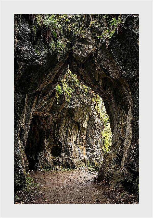 Mystical Entrance To Shoshone Ice Caves
