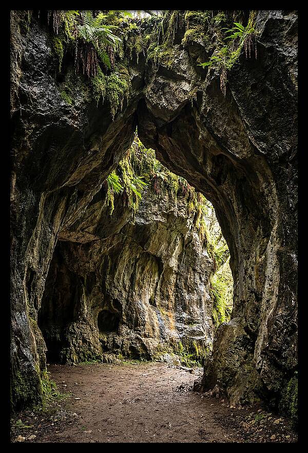 Mystical Entrance To Shoshone Ice Caves
