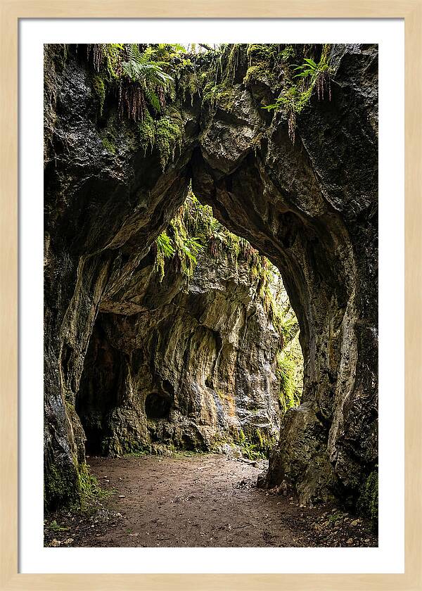 Mystical Entrance To Shoshone Ice Caves
