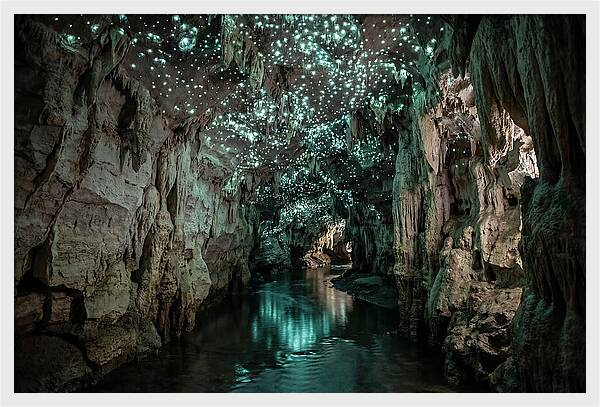 Mystical Glowworm Cave Experience