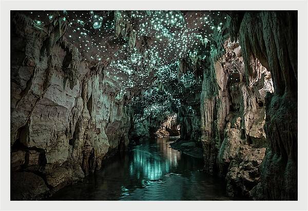 Mystical Glowworm Cave Experience