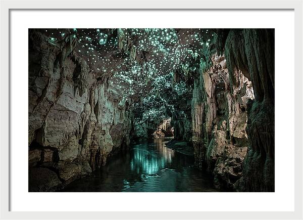 Mystical Glowworm Cave Experience