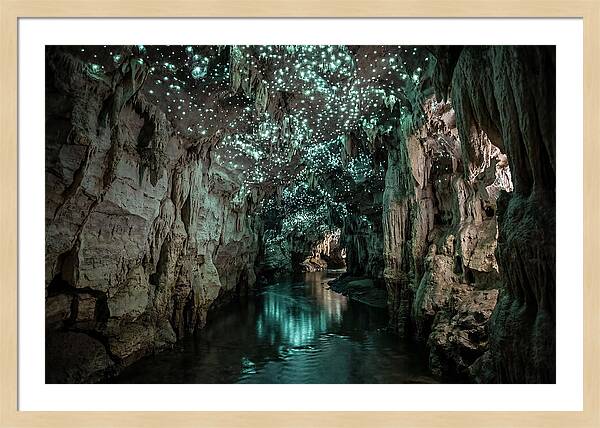 Mystical Glowworm Cave Experience
